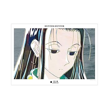 Amazon.co.jp: HUNTER x HUNTER イルミ Ani Art A3マット加工
